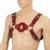 רתמת חזה HARNESS HARV