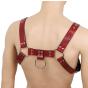 H- Harness רתמה מקצועית מעור , מתכוונת עם אבזמים להתאמה מושלמת   מבט מאחור