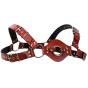 רתמת חזה יוקרתית  HARNESS HARV

