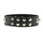 קולר ניטים שחור מעור "CHESTER"