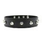 קולר ניטים שחור "CHESTER"