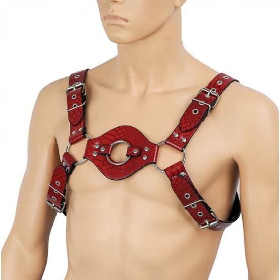 רתמת חזה   HARNESS HARV
