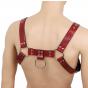 H- Harness רתמה מקצועית מעור , מתכוונת עם אבזמים להתאמה מושלמת   מבט מאחור