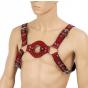 H- Harness רתמה מקצועית מעור , מתכוונת עם אבזמים להתאמה מושלמת  